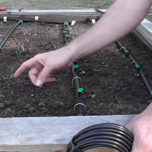 How to Install a Drip Irrigation System for Raised Bed