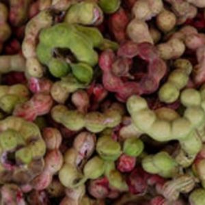 Manila Tamarind (Seema Chintakaya)
